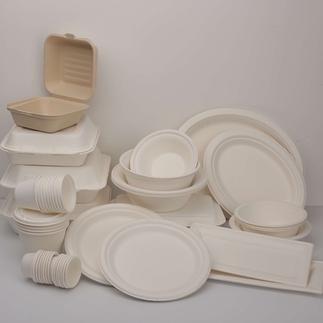 Automatisation de la production en usine - vaisselle en pâte à papier